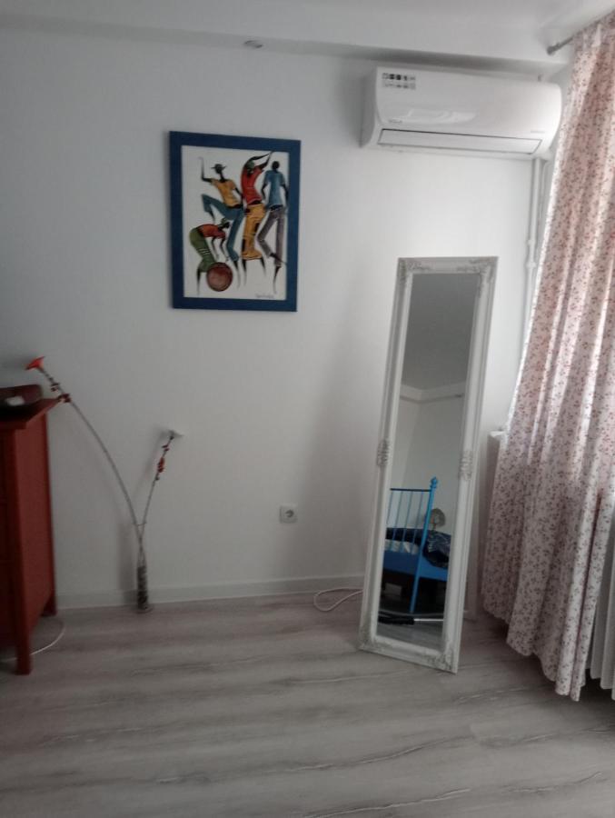 Skyline Central Apartment Timişoara Eksteriør billede