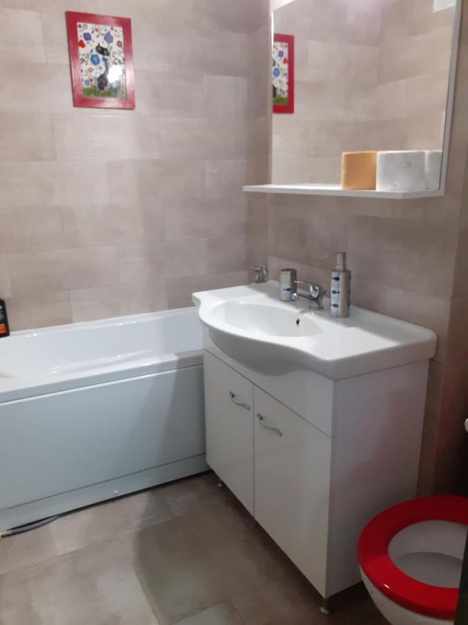 Skyline Central Apartment Timişoara Eksteriør billede