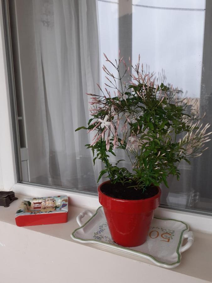 Skyline Central Apartment Timişoara Eksteriør billede